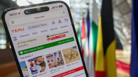 Temu被罚2亿：平台合规成本飙升