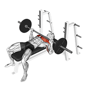 1324个健身动作的多语言数据集开源